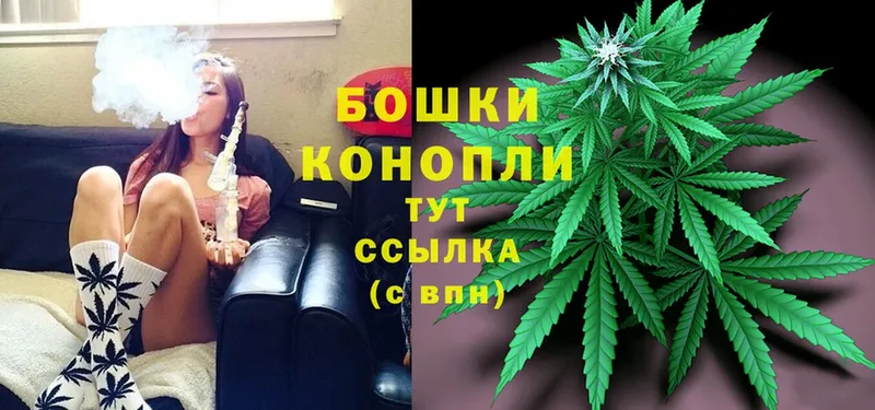 где продают наркотики  Невинномысск  Бошки марихуана OG Kush 